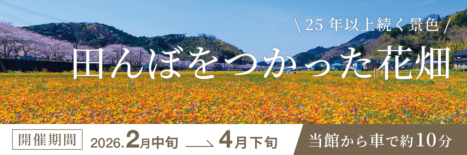 田んぼをつかった花畑